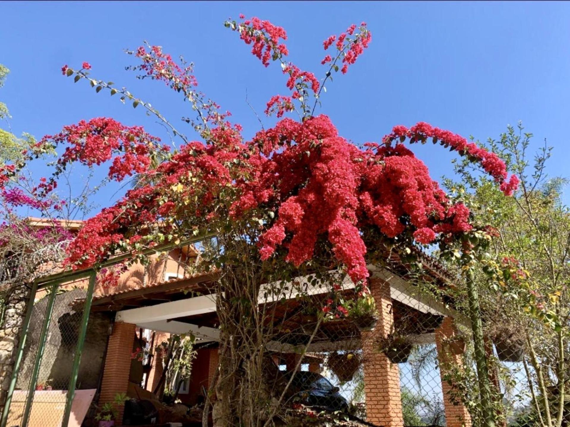 Refugio Luz Do Sol Villa Mairiporã Dış mekan fotoğraf